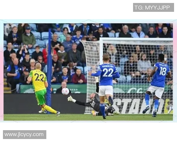 2018年莱斯特城对阵沃特福德精彩回顾与赛后分析